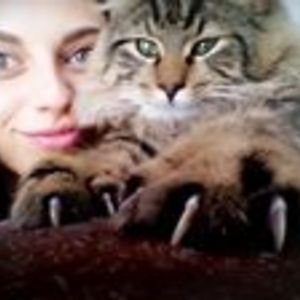 zavintapaulaviciute avatar