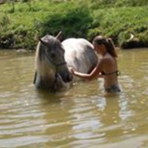 katrin_oehlmann avatar