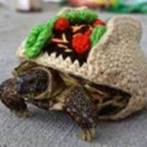 kidhighway1991 avatar