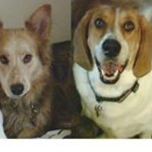 lynda_plummer avatar