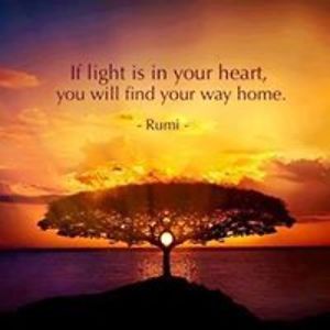 cathy_mccarty avatar