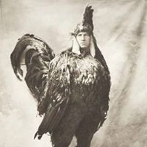 northern_cross avatar