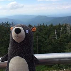 sockmonkeyrevolt avatar