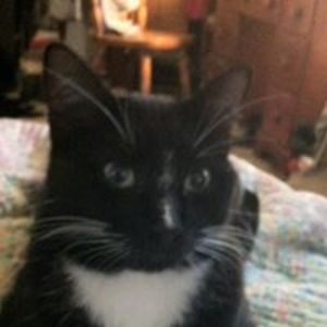 philsteakfreeman avatar