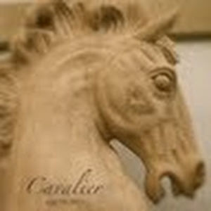 sherricavalier avatar