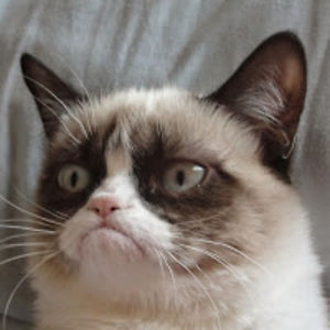 carolyntainter avatar