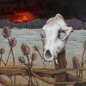 kristina_mlinaric avatar