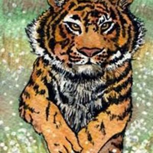 shellie_lewis avatar