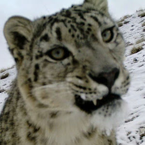 emmadougherty avatar