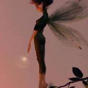 zornitsa_tsolova avatar