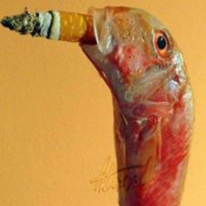 alexxl_veliki avatar