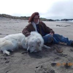 angorawoolwitch avatar