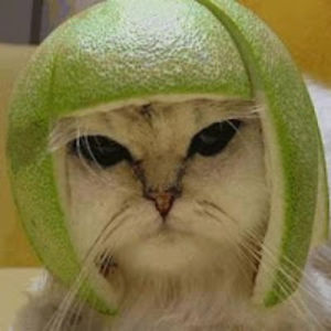 jeanettescott avatar