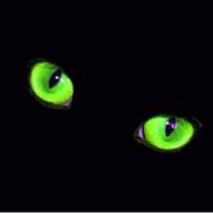 alpha_treasurekennels avatar