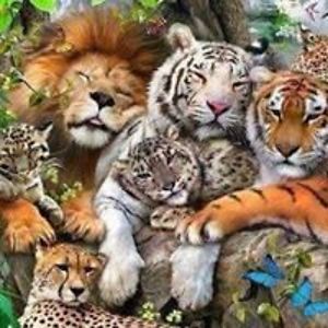 carolynbaggoo avatar