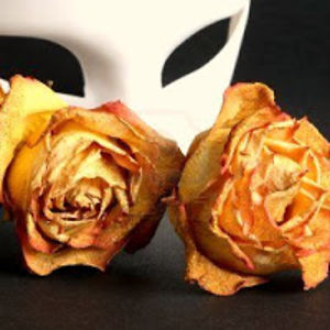 shoshanadimbert avatar