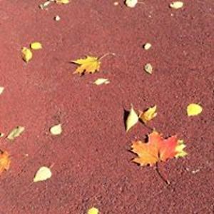 cristina_nita avatar