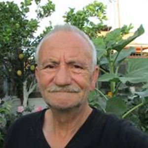 mazzella_erasmo16 avatar