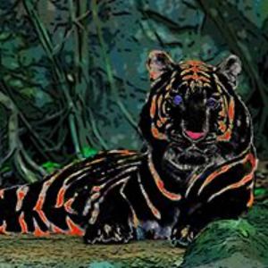 embrown1442000 avatar