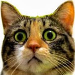 lazaruslazaridis avatar