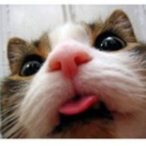 william_bourne avatar