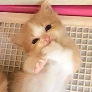 kathleen_marie_lott avatar