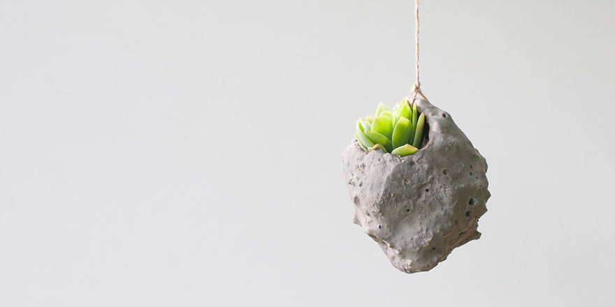 Succulent Concrete Planter