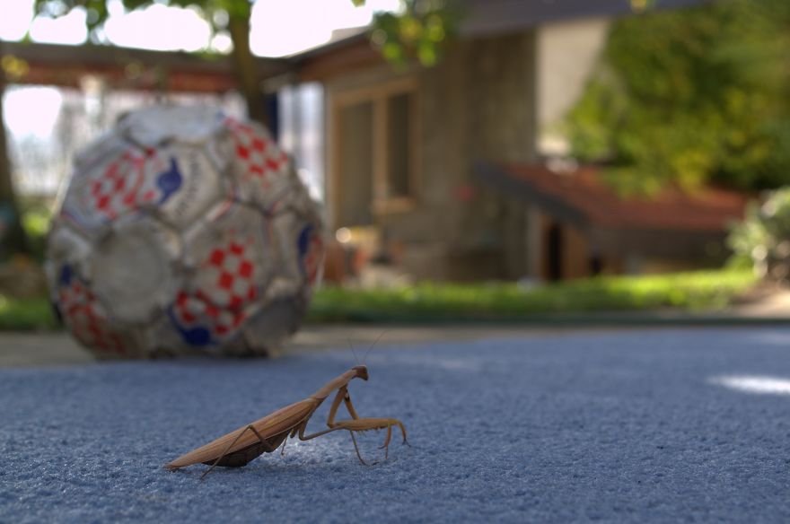 Whoa, A Blue Carpet Just For Me?