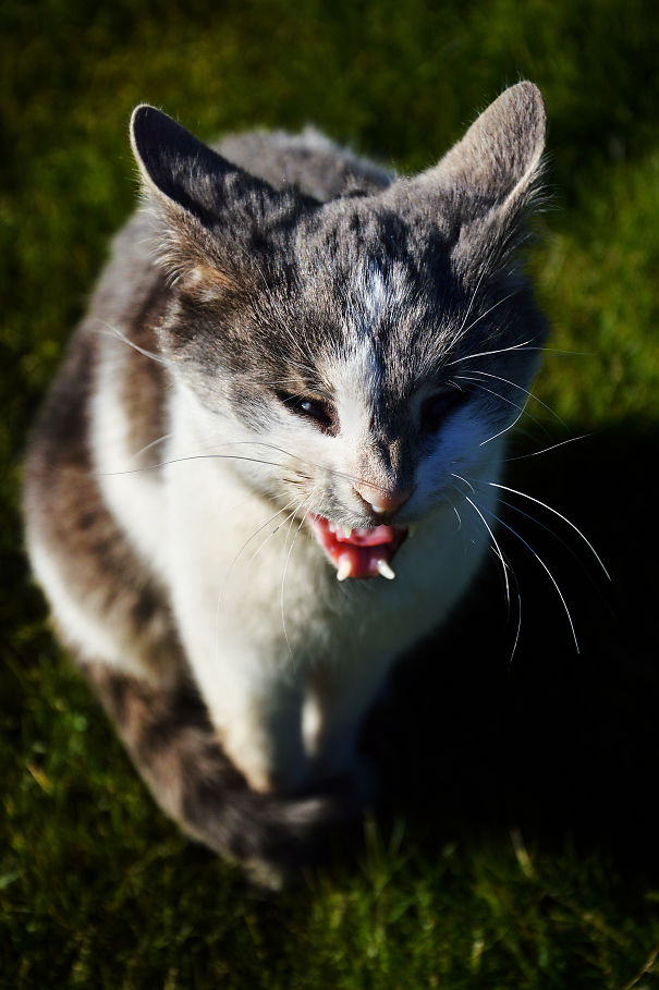 You Made A Terrible Mistake 3:)