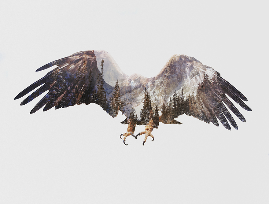 Double Exposure Portraits Of Wild Animals That Reflect Their Habitat Double Exposure Portraits Of Wild Animals That Reflect Their Habitat