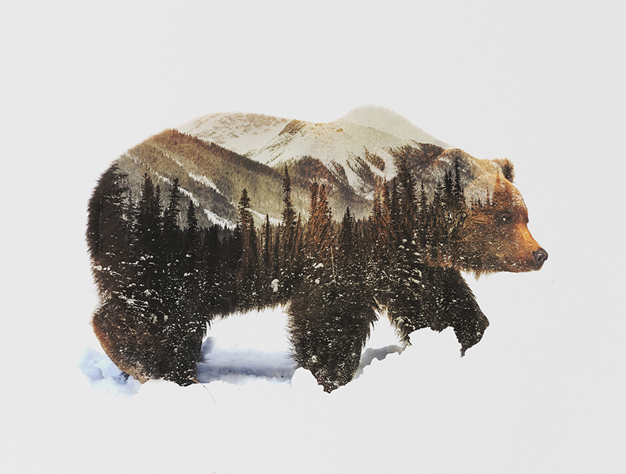 Double Exposure Portraits Of Wild Animals That Reflect Their Habitat Double Exposure Portraits Of Wild Animals That Reflect Their Habitat