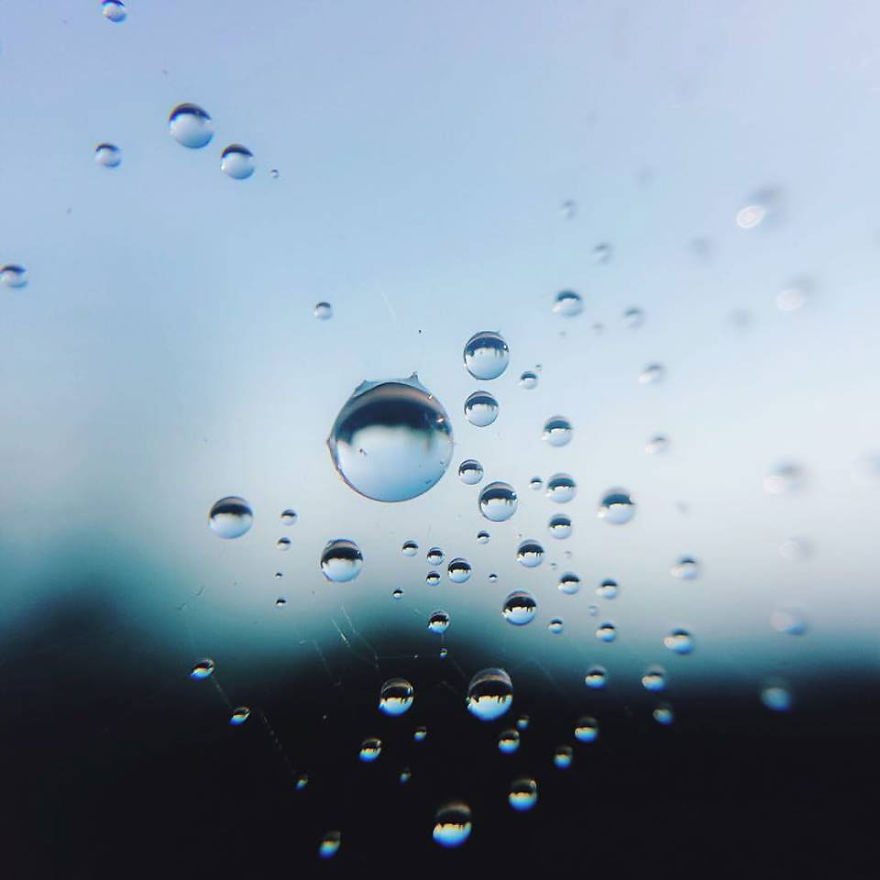 I Photograph Dewdrops That Look Like Miniature Multiverses