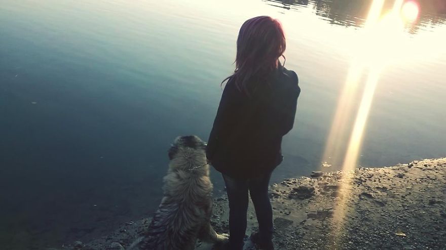 I Found It Amazing How Animals Can Change Your Life I Found It Amazing How Animals Can Change Your Life