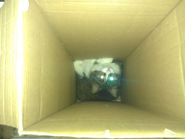 Picked The Six Foot Deep Box....