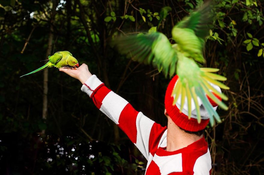 I'm Wally And You Found Me!