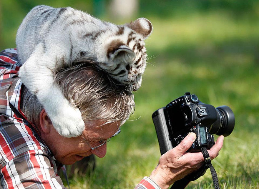Wildlife Photographers