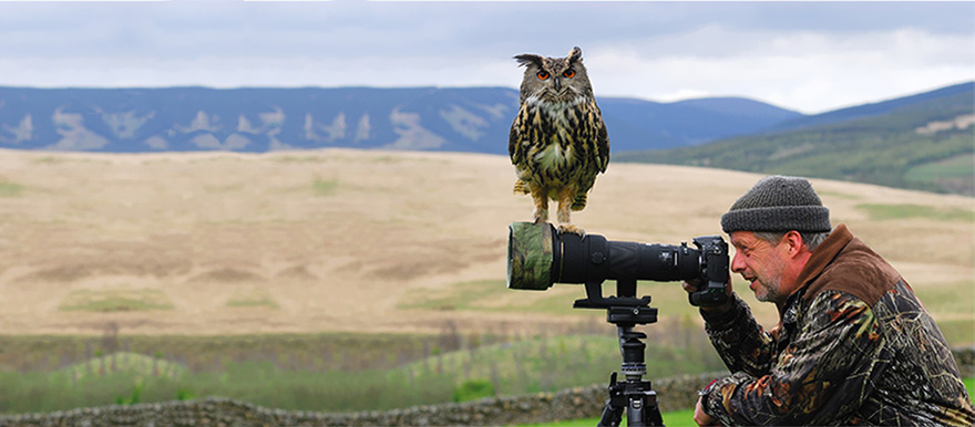 Wildlife Photographers
