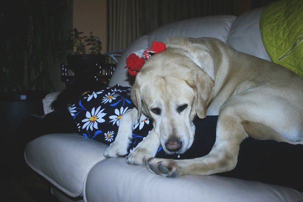 Just Chillin' On The Couch With Mom... Uhm... On Mom.
