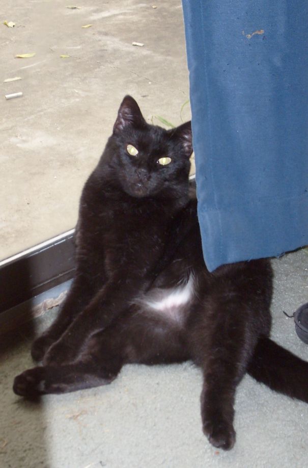 Close The Curtain,not Ready Yet For Show!