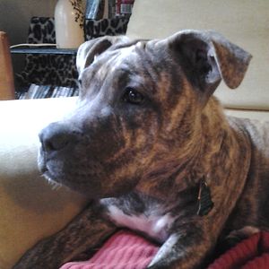 sharon.alexander.792 avatar