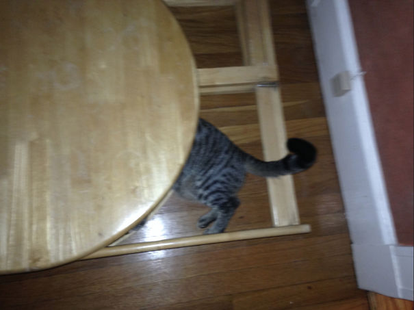 Right After Slamming A 60lb Oak Folding Table At 2:45am Onto Our 3rd Level Floor