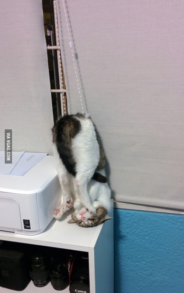 I've Made A Huge Mistake