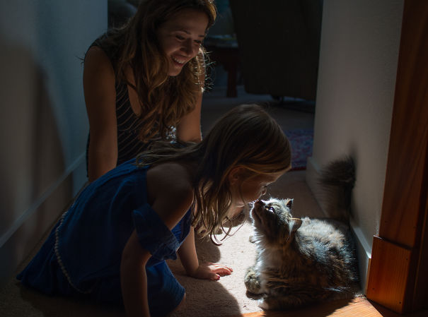 Young girls interacting warmly with a Maine C**n cat, showcasing the giant kitties with the softest character indoors.