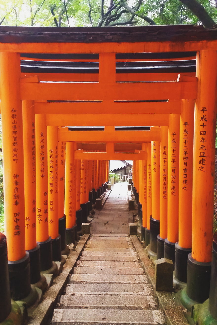 An Autumn Tale In Kyoto, Japan An Autumn Tale In Kyoto, Japan