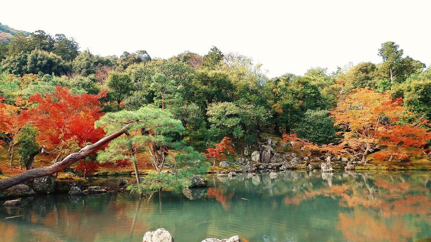 An Autumn Tale In Kyoto, Japan An Autumn Tale In Kyoto, Japan
