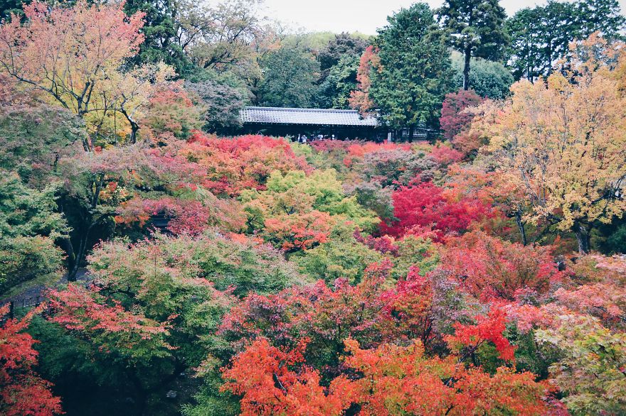 An Autumn Tale In Kyoto, Japan An Autumn Tale In Kyoto, Japan