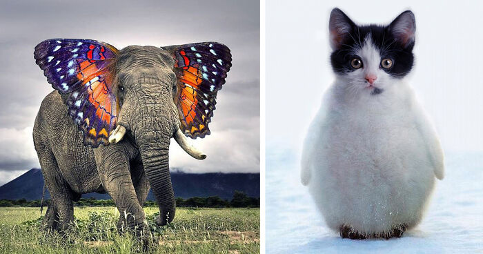 49 Strange Animal Hybrids Bred In Photoshop