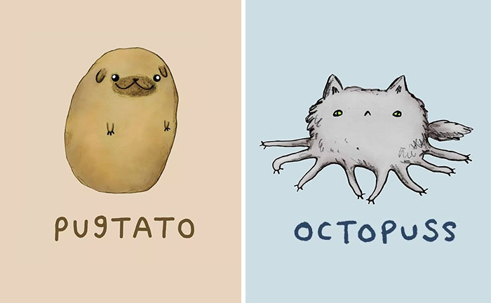 29 Funny Animal Puns To Make Your Monday Pun Again