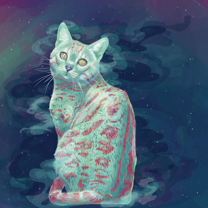 Animals In Space: My Vector Art Leaves People Questioning What The Medium Is