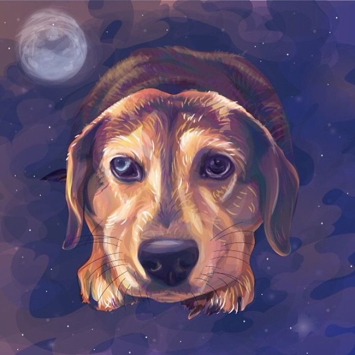 Animals In Space: My Vector Art Leaves People Questioning What The Medium Is